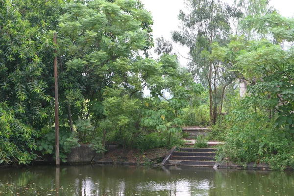 Ένα Τοπίο Της Wetland Nam Sang Wai Χονγκ Κονγκ — Φωτογραφία Αρχείου