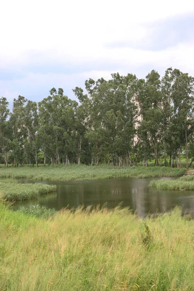 Krajobraz Wetland Nam Sang Wai Hong Kong — Zdjęcie stockowe