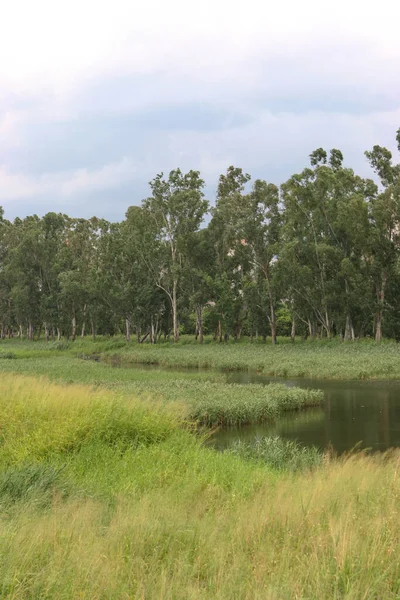 Wetland Manzarası Nam Sang Wai Hong Kong — Stok fotoğraf