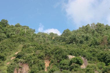 19 Eylül 2005 'te Lei Yue Mun' daki doğa parkında.