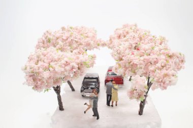 Gourgeous kiraz ağaçlarında çiçek açmış küçük aşık figürü.