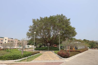 16 Mart 2021 Oturma Alanı, Peng Chau, Hong Kong