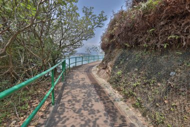 16 Mart 2021, Peng Chau aile patikasının doğa manzarası, hk