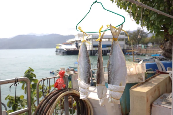 2021年3月16日渔村 一条绳子上的干鱼 Hong Kong China — 图库照片