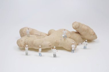 Zencefil kökü üzerine mini şef beyaz arka planda izole edilmiş.