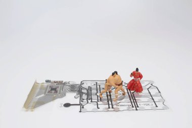 Entegre devrelerdeki Sumo Sporcusu 