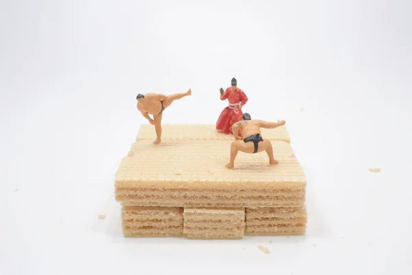 Mini Sumo Fighters Figth Waffle — Stock Photo, Image