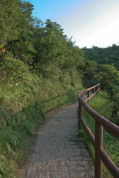 Sentiero Della Natura Tsing Hong Kong — Foto Stock