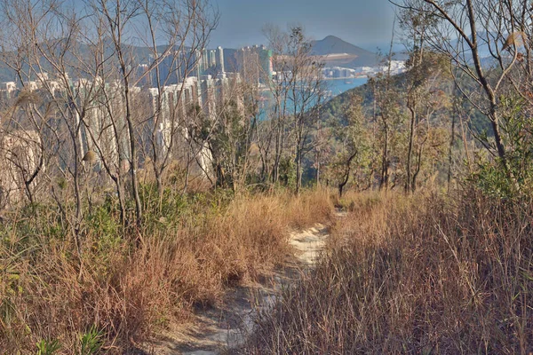 Ιαν 2021 Φθινοπωρινό Τοπίο Στο Μαύρο Λόφο Χονγκ Κονγκ — Φωτογραφία Αρχείου