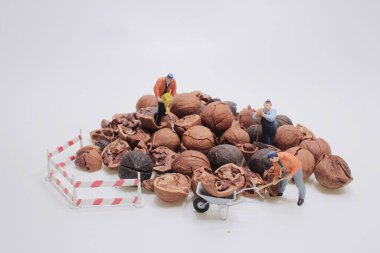 Mini inşaat işçisi figürleri ceviz açmaya çalışıyor.