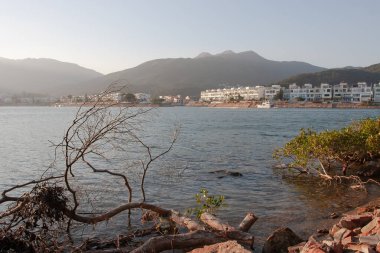 11 Aralık 2005 Marina Cove sai kung sahili. 