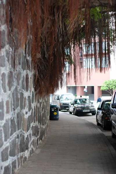 Nov 2005 Masonry Wall Trees Hollywood Road Sheung Wan — ストック写真