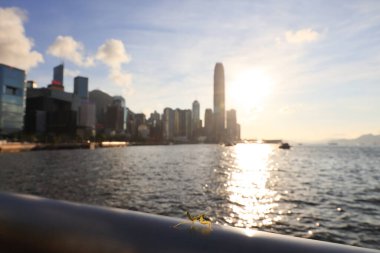 22 Mayıs 2021 Victoria gezinti güvertesindeki küçük Mantid, hk