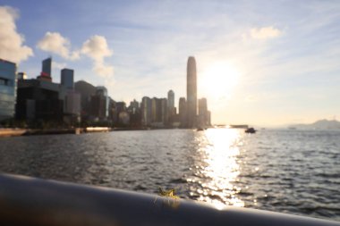 22 Mayıs 2021 Victoria gezinti güvertesindeki küçük Mantid, hk