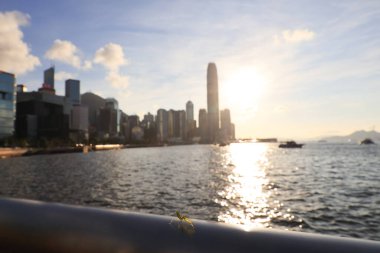 22 Mayıs 2021 Victoria gezinti güvertesindeki küçük Mantid, hk