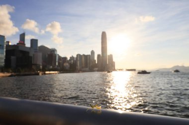 22 Mayıs 2021 Victoria gezinti güvertesindeki küçük Mantid, hk