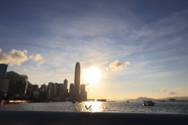 22 Mayıs 2021 Victoria gezinti güvertesindeki küçük Mantid, hk