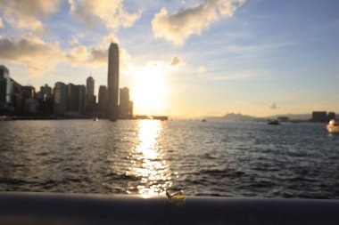 22 Mayıs 2021 Victoria gezinti güvertesindeki küçük Mantid, hk