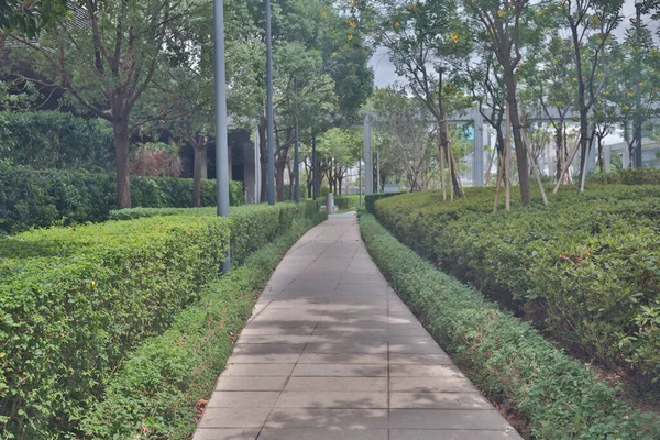 stock image 29 May 2021 park pedestrian walkway toward modern city, hk