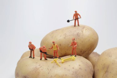 the mini worker work on the Potato 