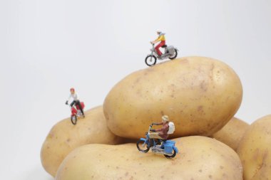 the mini  figure ride the motorbike on the Potato 