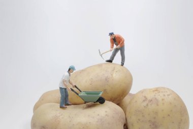 the mini worker work on the Potato 