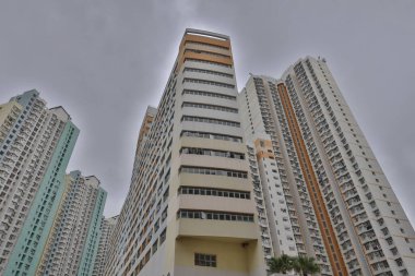 25 Haziran 2021 Upper Ngau Tau Kok Malikanesi.