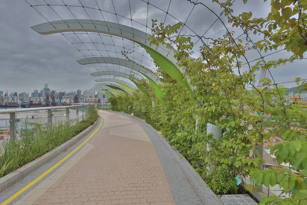 Juni 2021 Die Saisonalen Gehwege Kai Tak Sky Garden — Stockfoto