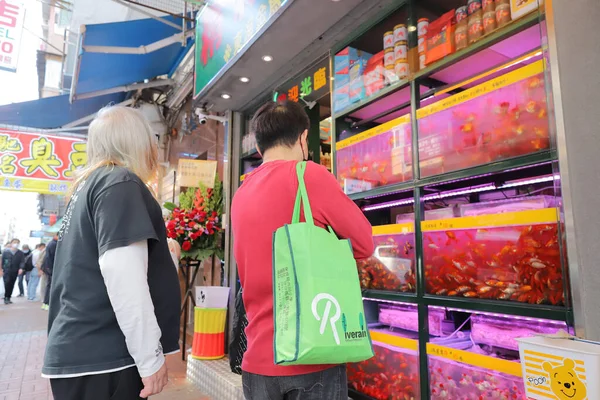 March 2021 Pet Goldfish Streetside Stall Tung Choi Street Mongkok — Stock Photo, Image