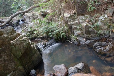 Shing Mun Rezervasyon Deresi manzarası