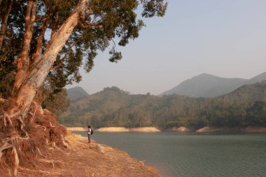 Kağıt havlaması Ağaçlar Shing Mun Barajı, Hong Kong