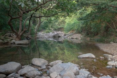 Nehrin yukarısındaki küçük gölet, Shing Mun Reservior.