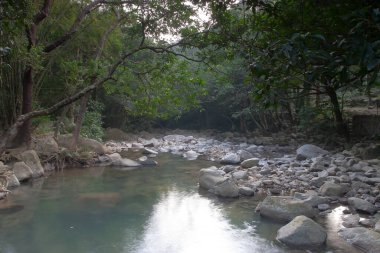 Nehrin yukarısındaki küçük gölet, Shing Mun Reservior.
