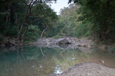 Nehrin yukarısındaki küçük gölet, Shing Mun Reservior.