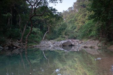 Nehrin yukarısındaki küçük gölet, Shing Mun Reservior.