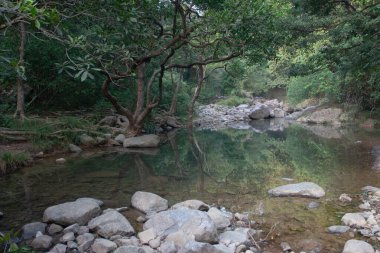 Nehrin yukarısındaki küçük gölet, Shing Mun Reservior.