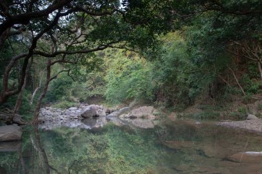 Nehrin yukarısındaki küçük gölet, Shing Mun Reservior.