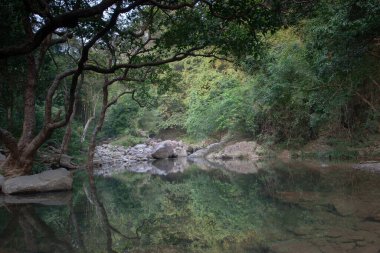 Nehrin yukarısındaki küçük gölet, Shing Mun Reservior.