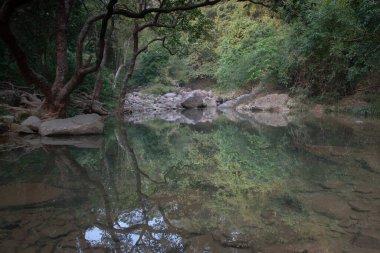 Nehrin yukarısındaki küçük gölet, Shing Mun Reservior.