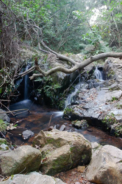 Krajina Shing Mun Reservior Creek — Stock fotografie