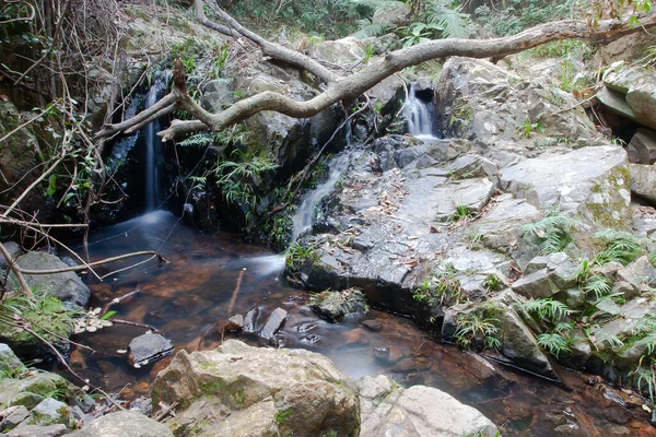 Shing Mun Rezervasyon Deresi manzarası