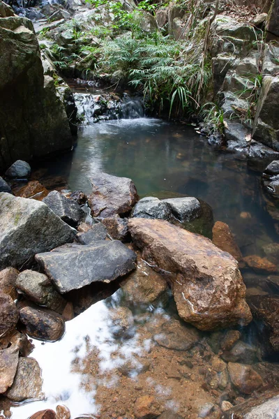 Landskapet Shing Mun Reservior Creek — Stockfoto