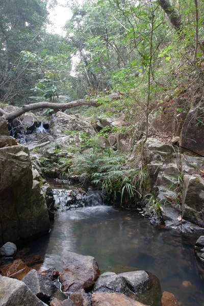 Paisagem Shing Mun Reservior Creek — Fotografia de Stock