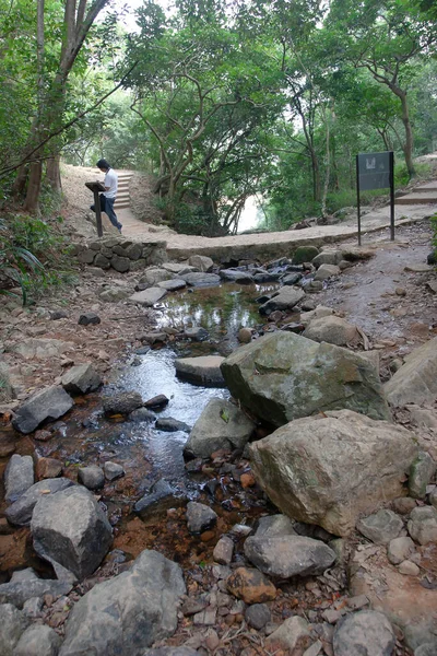 Τοπίο Του Shing Mun Reseravior Creek — Φωτογραφία Αρχείου