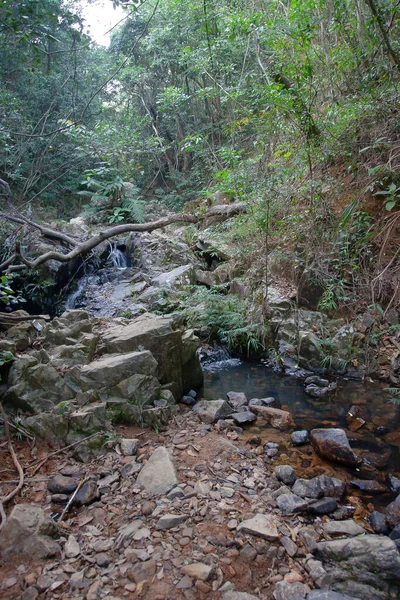 Die Landschaft Des Shing Mun Reservior Creek — Stockfoto