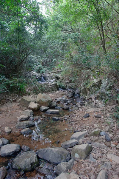 Landscape Shing Mun Reservior Creek — Stock Photo, Image