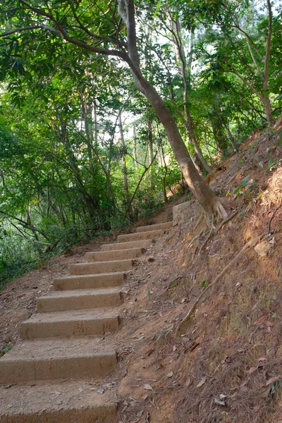 Nov 2006 Der Trail Shing Mun Reservoir Hong Kong — Stockfoto