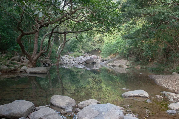 Small Pond Uppon River Shing Mun Reservior — Stock Photo, Image