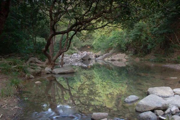 Pequeño Estanque Río Uppon Shing Mun Reservior — Foto de Stock