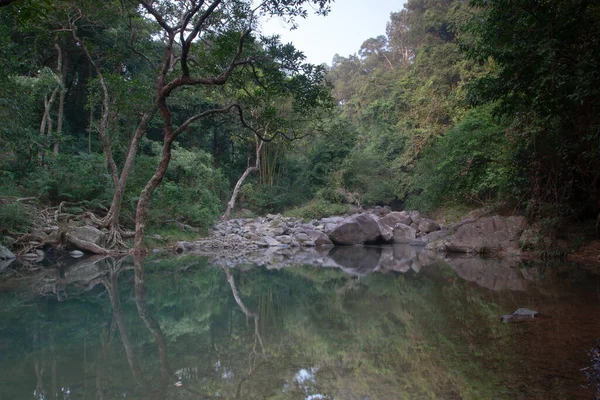 Nehrin yukarısındaki küçük gölet, Shing Mun Reservior.